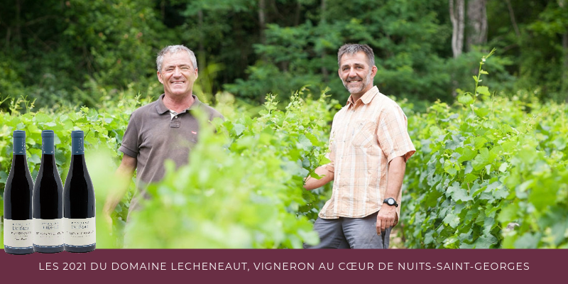 Les 2021 du domaine Lécheneaut, vigneron au cœur de Nuits-Saint-Georges
