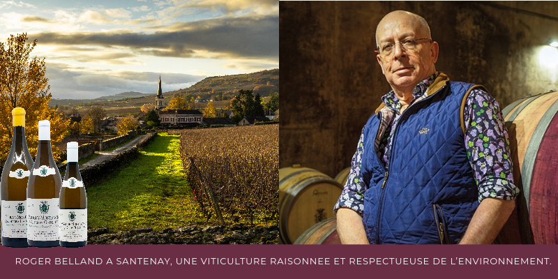 Roger Belland à Santenay, une viticulture raisonnée et respectueuse de l’environnement.