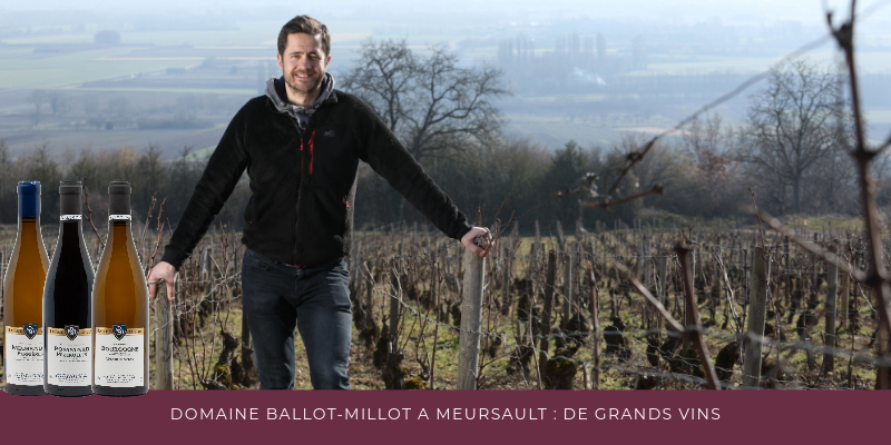 Domaine Ballot-Millot A Meursault : De Grands Vins 
