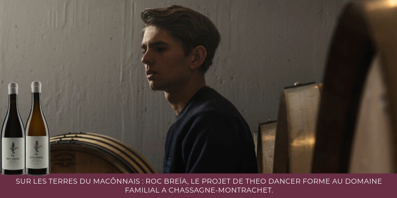 Sur les terres du Mâconnais : Roc Breïa, le projet de Theo Dancer formé au domaine familial à Chassagne-Montrachet.