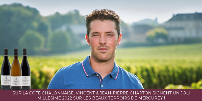 Sur la Côte Chalonnaise, Vincent & Jean-Pierre Charton signent un joli millésime 2022 sur les beaux terroirs de Mercurey !