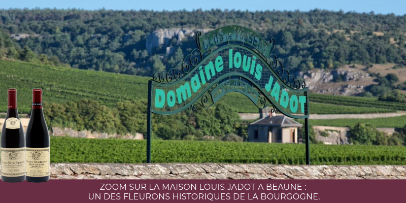 Zoom sur la Maison Louis Jadot à Beaune : un des fleurons historiques de la Bourgogne.