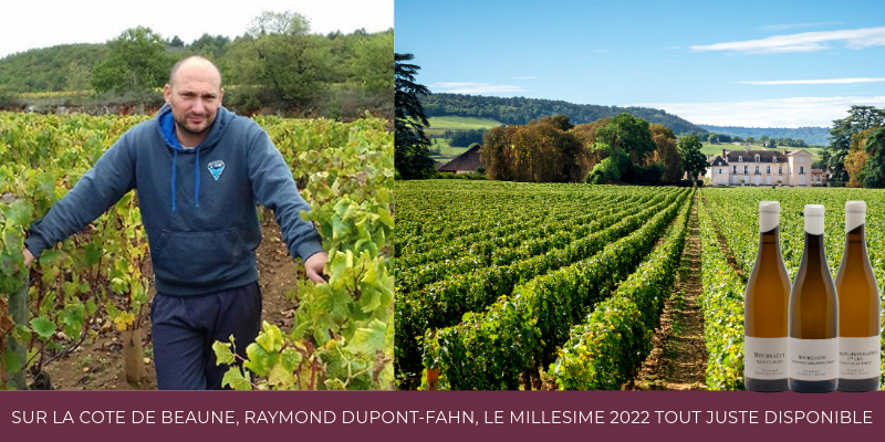 Sur la Côte de Beaune, Raymond Dupont-Fahn, le millésime 2022 tout juste disponible !