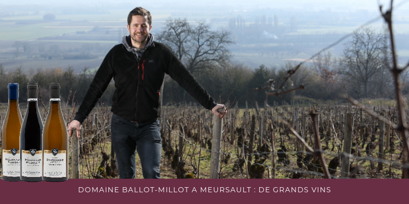 Ballot Millot 2024: L&rsquo;Excellence Bourguignonne Mill&eacute;sime apr&egrave;s Mill&eacute;sime
