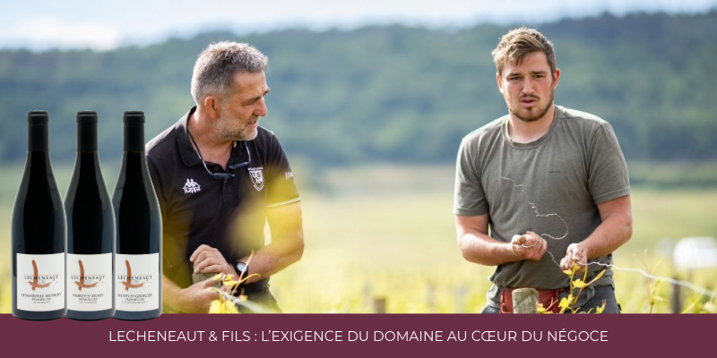 L&eacute;cheneaut & Fils : l&rsquo;exigence du domaine au c&oelig;ur du n&eacute;goce
