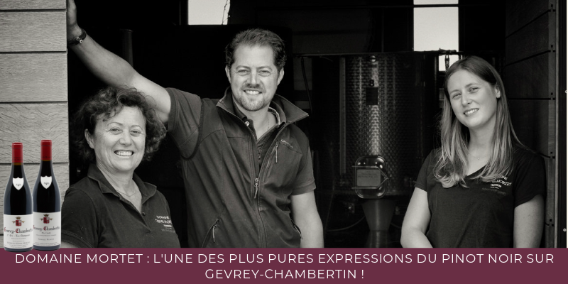 Domaine Mortet : l'une des plus pures expressions du Pinot Noir sur Gevrey-Chambertin !