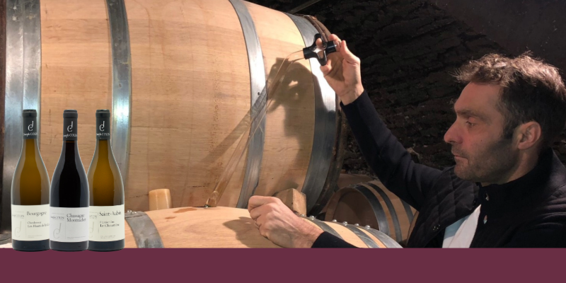De Saint-Aubin à Chassagne, Joseph Colin confirme son niveau d'excellence sur un millésime 2023 très enthousiasmant !