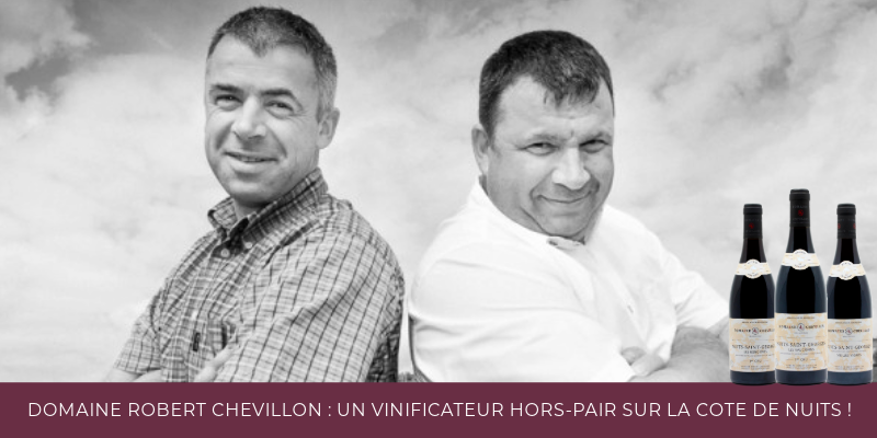 Domaine Robert Chevillon : un vinificateur hors-pair sur la Côte de Nuits !