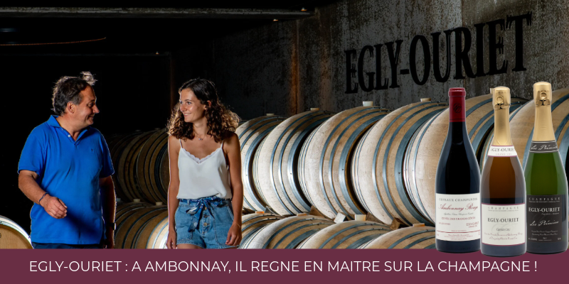 Egly-Ouriet : à Ambonnay, il règne en maître sur la Champagne !