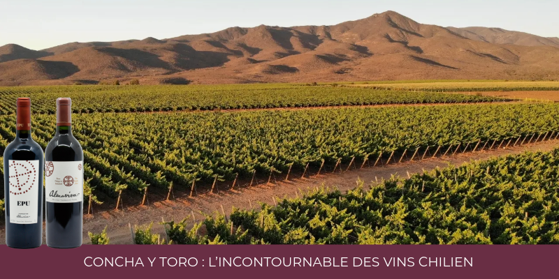 Concha y Toro : L’incontournable des vins Chilien