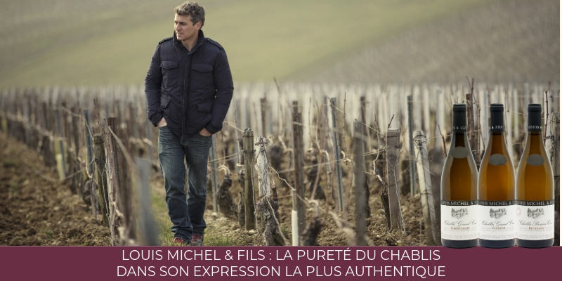 Louis Michel & Fils : la pureté du Chablis dans son expression la plus authentique