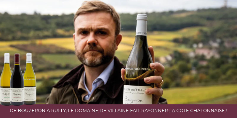 De Bouzeron à Rully, le Domaine de Villaine fait rayonner la Côte Chalonnaise !
