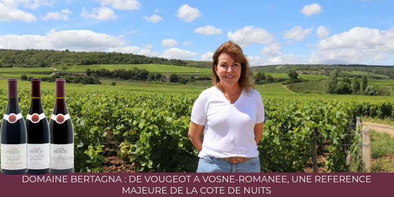 Domaine Bertagna : de Vougeot à Vosne-Romanée, une référence majeure de la Côte de Nuits