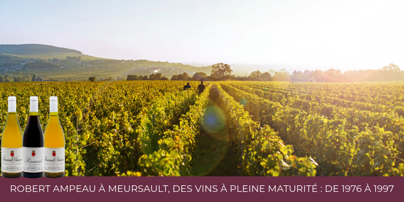 Robert Ampeau &Agrave; Meursault, Des Vins &Agrave; Pleine Maturit&eacute; : De 1979 &Agrave; 1999