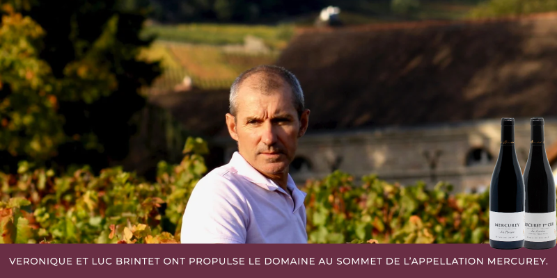 V&eacute;ronique et Luc Brintet ont propuls&eacute; le domaine au sommet de l&rsquo;appellation Mercurey.