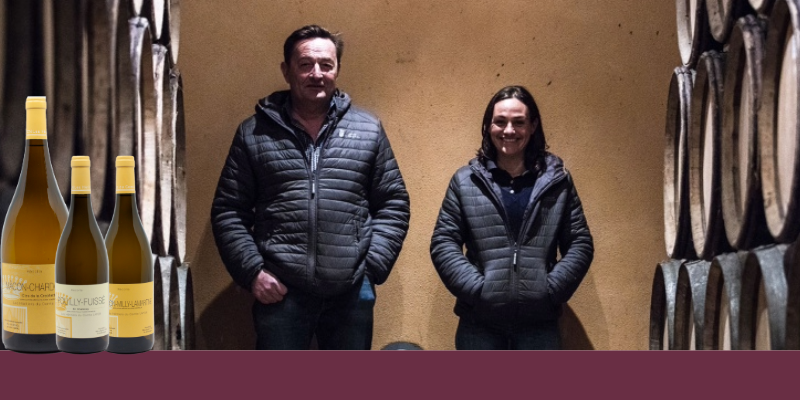 Zoom sur le mill&eacute;sime 2023 des H&eacute;ritiers du Comte Lafon un domaine embl&eacute;matique du M&acirc;connais