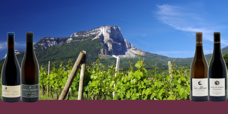 Les vins de Savoie, l&rsquo;expression pure des Alpes
