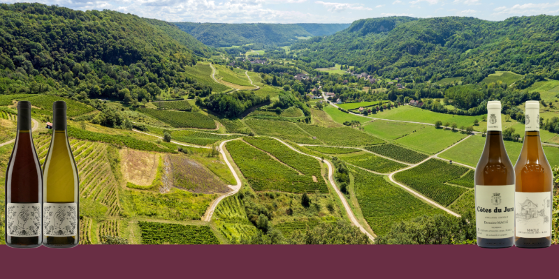 Zoom sur les vins du Jura