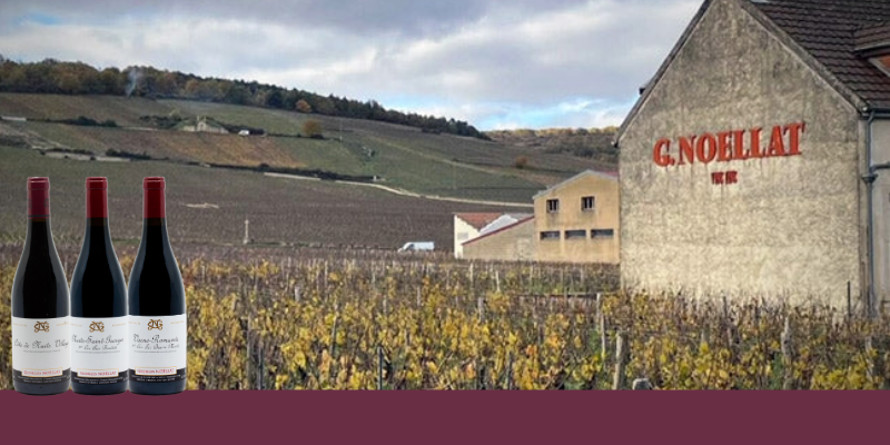 Domaine Georges No&euml;llat : l&rsquo;expression pure des terroirs de la C&ocirc;te de Nuits