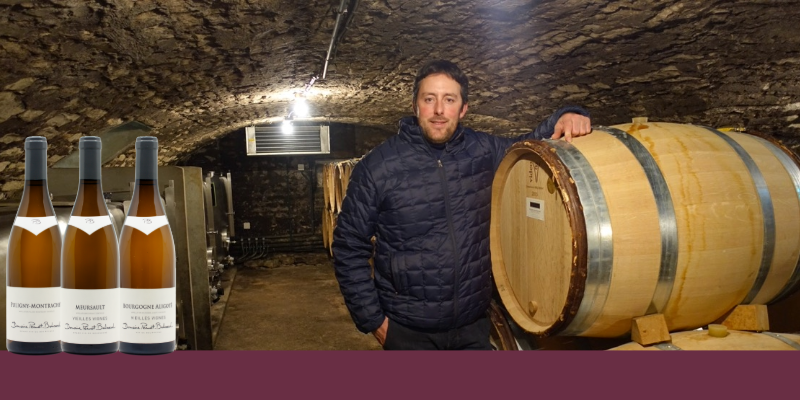 Au c&oelig;ur de Puligny Montrachet, la passion et la pr&eacute;cision du domaine Pernot-Belicart