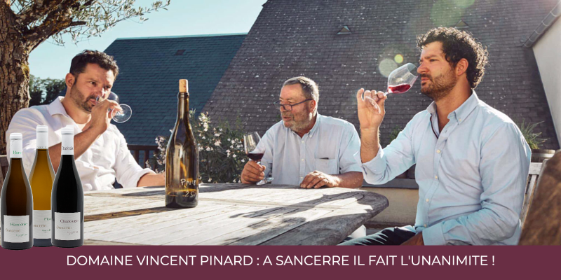 Domaine Vincent Pinard : &agrave; Sancerre il fait l'unanimit&eacute; en blanc comme en rouge ! 