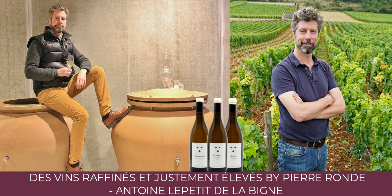 Mill&eacute;sime 2024 : Des vins raffin&eacute;s et justement &eacute;lev&eacute;s by Pierre Ronde - Antoine Lepetit De La Bigne