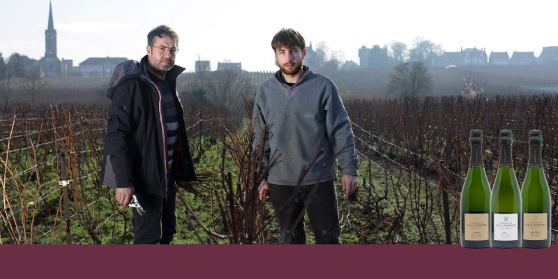 &Agrave; Avize, Pascal Agrapart sublime les grands crus de la C&ocirc;te des Blancs