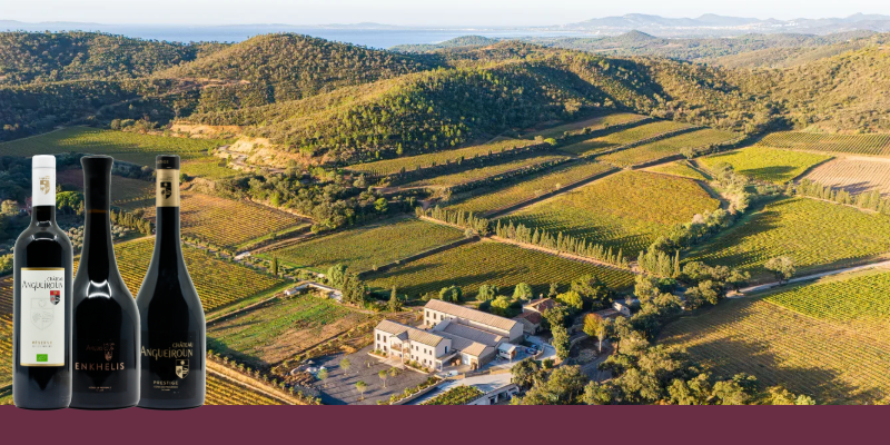 Ch&acirc;teau Angueiroun, signature des grands vins de C&ocirc;tes de Provence