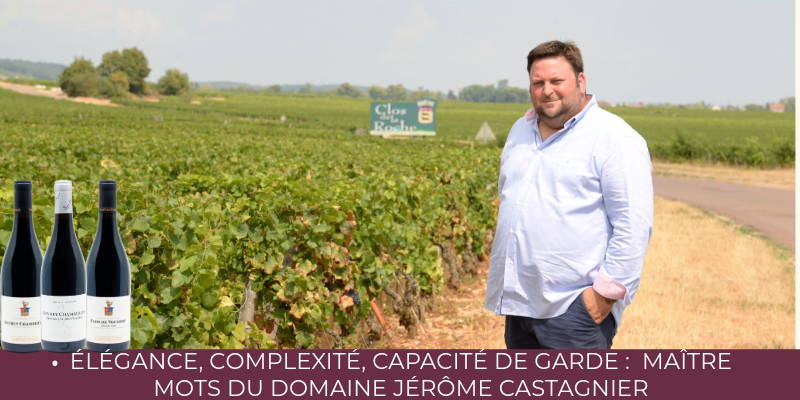 &Eacute;l&eacute;gance, complexit&eacute;, capacit&eacute; de garde ma&icirc;tre mots du Domaine J&eacute;r&ocirc;me Castagnier : Mill&eacute;sime 2023