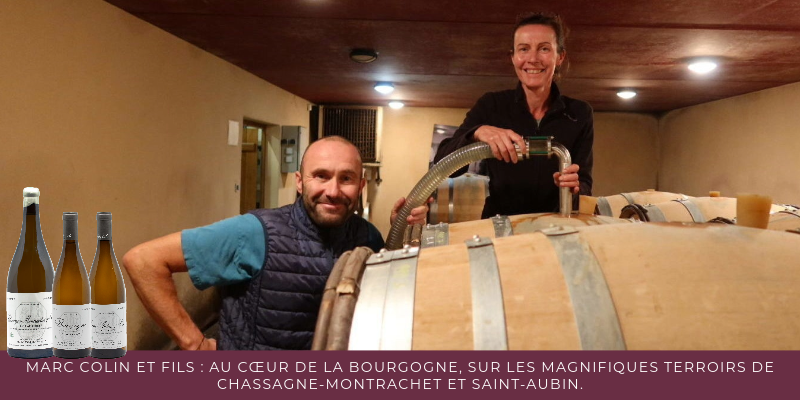 Marc Colin et Fils : zoom sur les magnifiques 2024 des terroirs de Chassagne-Montrachet et Saint-Aubin.