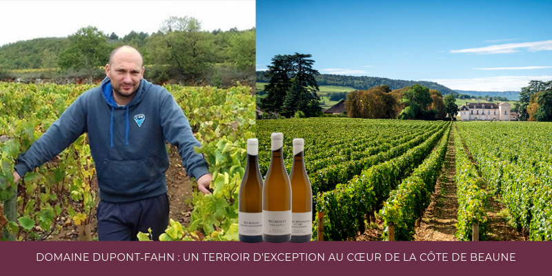 Zoom sur les 2024 : Domaine Dupont-Fahn : Un Terroir d'Exception au C&oelig;ur de la C&ocirc;te de Beaune