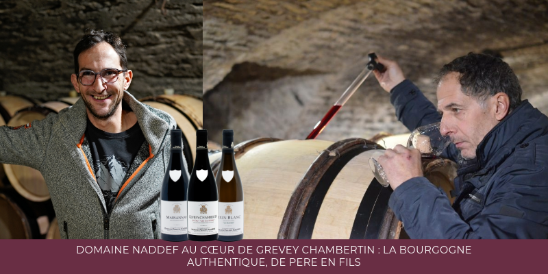 Domaine Naddef au c&oelig;ur de Grevey Chambertin : La Bourgogne Authentique, de P&egrave;re en Fils