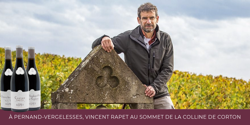 &Agrave; Pernand-Vergelesses, Vincent Rapet au sommet de la colline de Corton avec les 2024