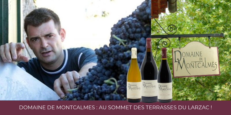 Domaine de Montcalm&egrave;s, sur le mill&eacute;sime 2023 : au sommet des Terrasses du Larzac !