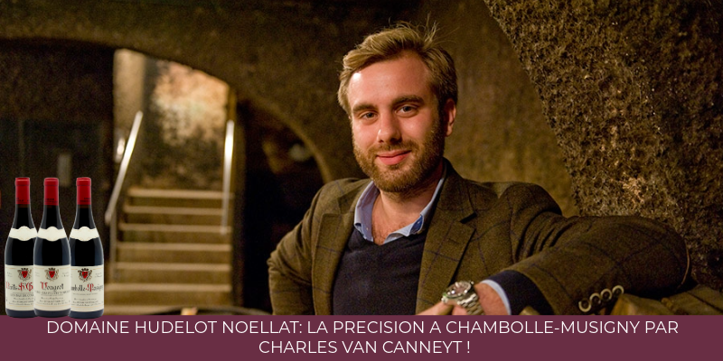 Domaine Hudelot Noellat: la pr&eacute;cision &agrave; Chambolle-Musigny par Charles Van Canneyt !