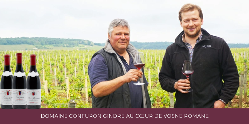 Zoom sur le mill&eacute;sime 2024 du domaine Confuron Gindre au c&oelig;ur de Vosne Roman&eacute;e 
