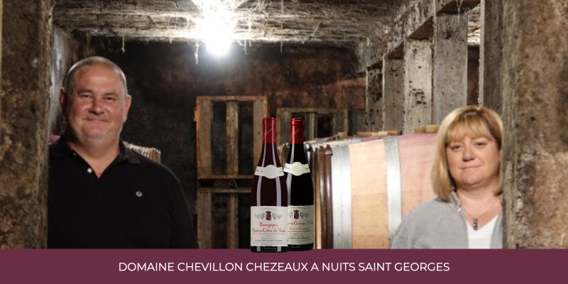 Zoom sur les 2024 du domaine Chevillon Chezeaux : L&rsquo;&eacute;l&eacute;gance du Pinot Noir
