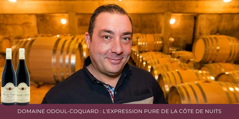 Domaine Odoul-Coquard : l'expression pure de la C&ocirc;te de Nuits en 2024