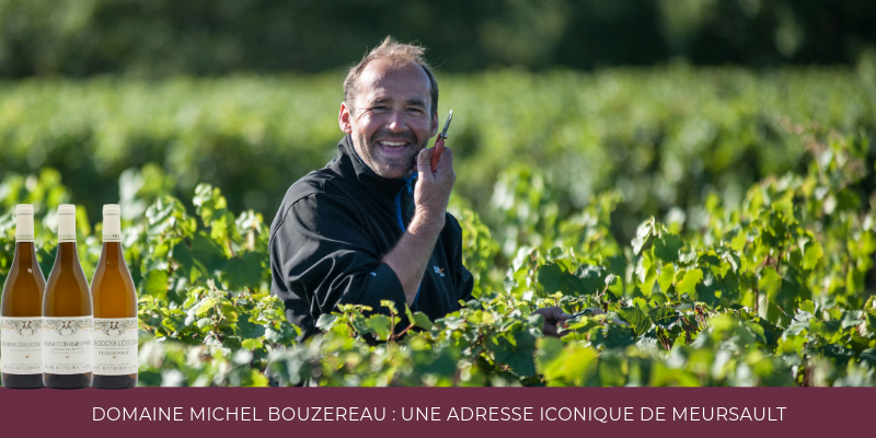 Domaine Michel Bouzereau : une adresse iconique de Meursault