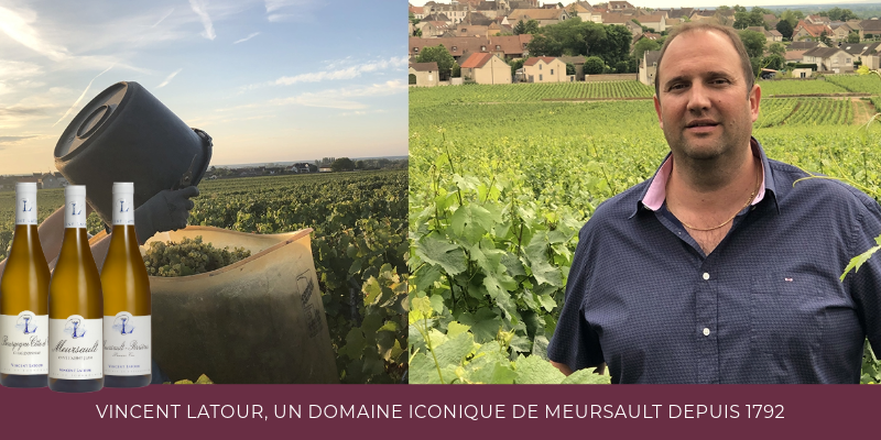 Vincent Latour, un domaine iconique de Meursault depuis 1792