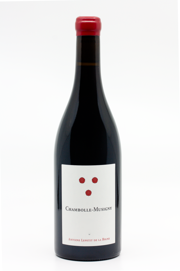 Pierre Ronde - Antoine Lepetit De La Bigne - Chambolle Musigny 2023