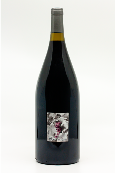 Gramenon - Côtes Du Rhône Poignee De Raisins 2021