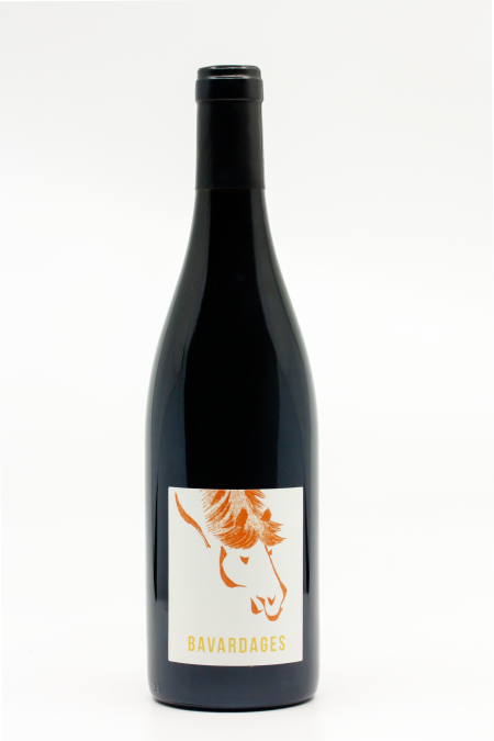 Jeanne Germain - Saumur Champigny Bavardages 2021