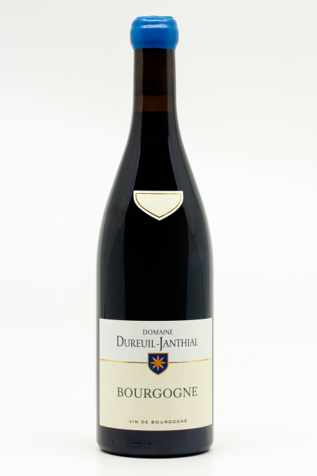 David Duband - Bourgogne Rouge 2023