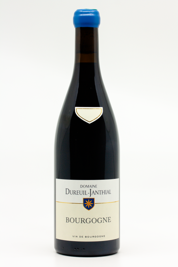 David Duband - Bourgogne Rouge 2023