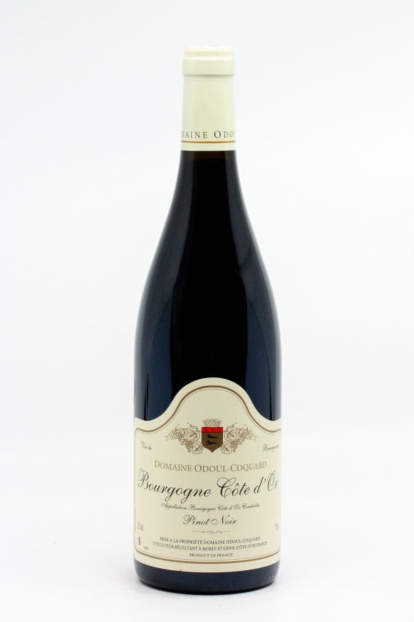 Odoul Coquard - Bourgogne Cote D'or 2024