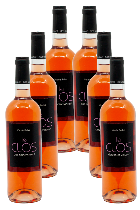 Clos Saint Vincent - AOC Bellet le Clos 2021 - Caisse de 6 bouteilles