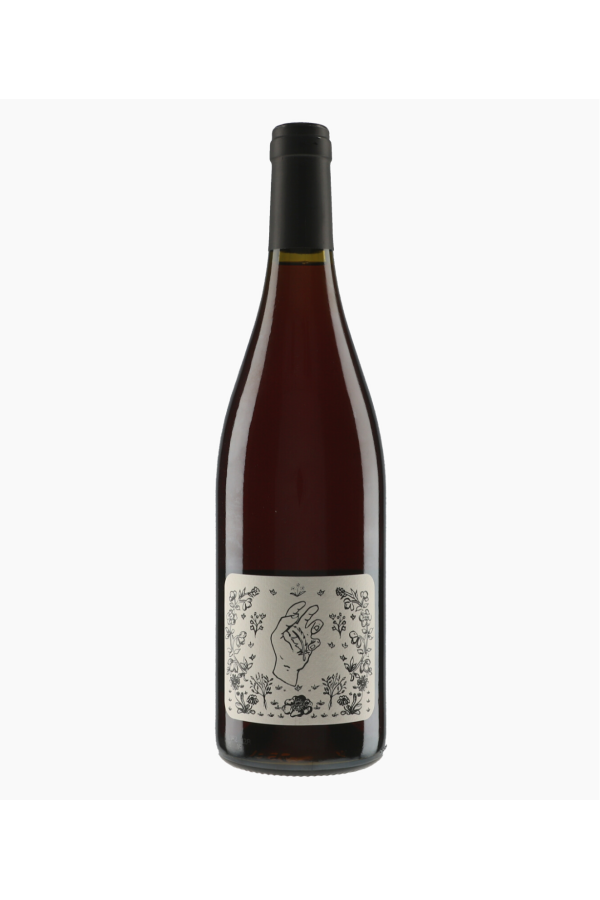 Plume By Aymeric Geantet - Plume VDF Pinot Noir 2022