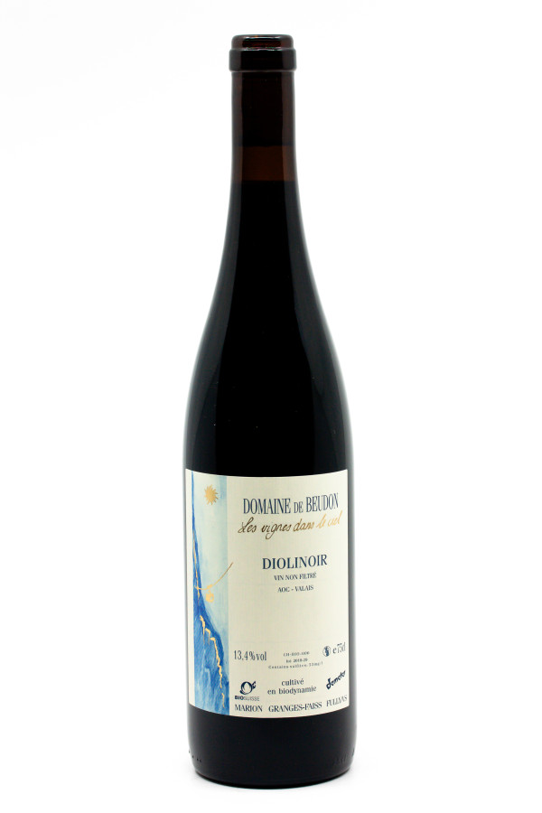Domaine de Beudon - Diolinoir 2018